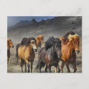Cartão Postal Cavalos Selvagens