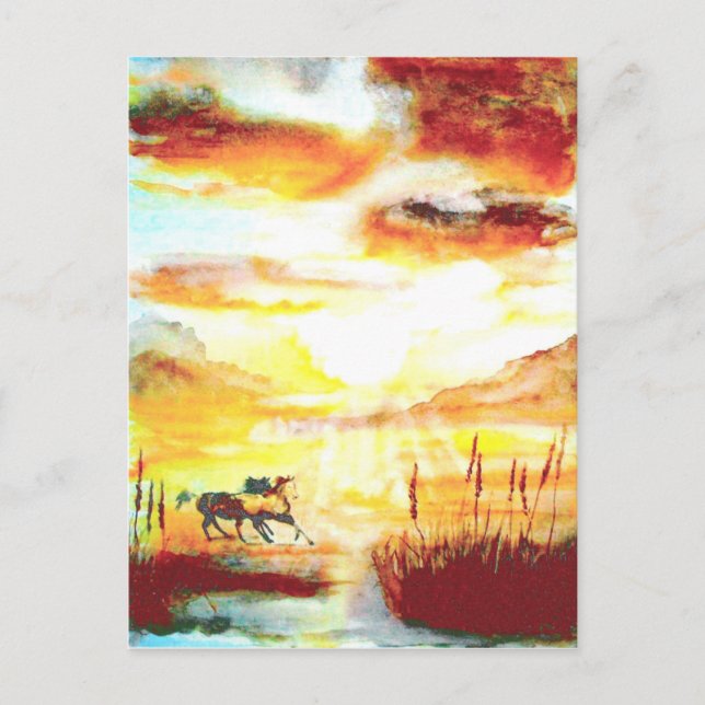 Cartão Postal Cavalos Selvagens. (Frente)