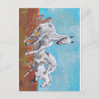 Cartão Postal Cavalos Selvagens
