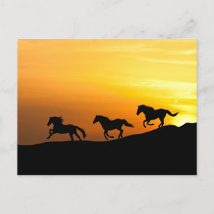 Cartão Postal Cavalos selvagens correndo em Designs de trevo de 
