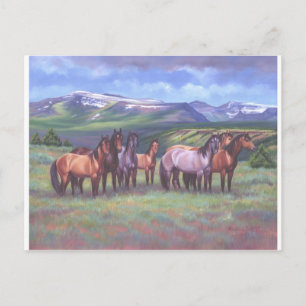 Cartão Postal Cavalos Selvagens do Oregon