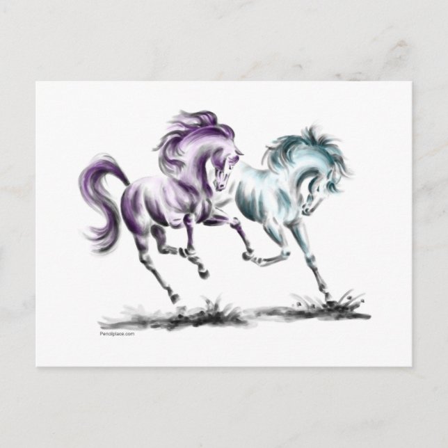 Cartão Postal Cavalos Selvagens Percorridos (Frente)