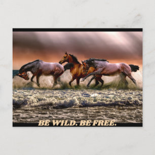 Cartão Postal Cavalos selvagens - sejam selvagens. sejam livres.