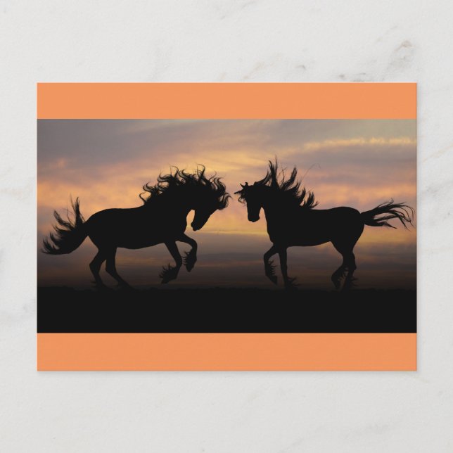 Cartão Postal Cavalos selvagens Silhouette (Frente)