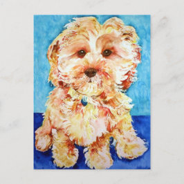 Cartão Postal Cavapoo "Ollie".