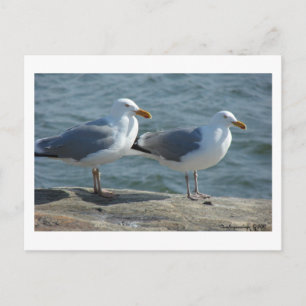 Cartão Postal Caveira à entrada de Barnegat
