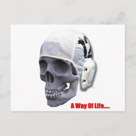 Cartão Postal caveira polo-d'água