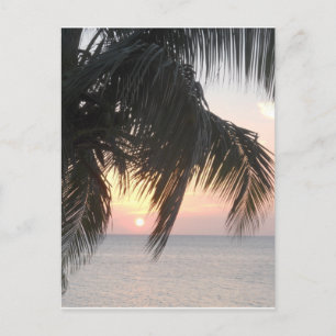 Cartão Postal Caverna do Dr. Sunsetting, Montego Bay, Jamaica