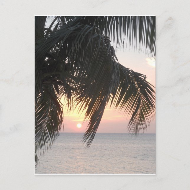 Cartão Postal Caverna do Dr. Sunsetting, Montego Bay, Jamaica (Frente)