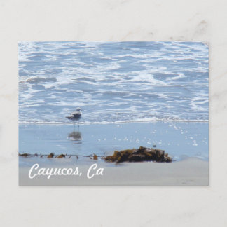 Cartão Postal Cayucos Ca