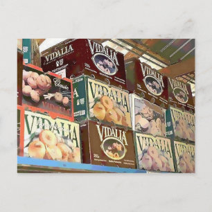 Cartão Postal Cebolas