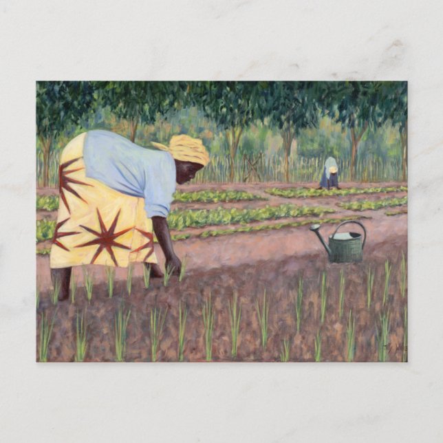 Cartão Postal Cebolas Plantadoras 2005 (Frente)