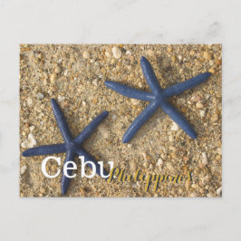 Cartão Postal Cebu Filipinas Blue Starfish