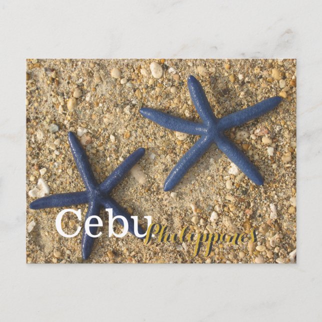 Cartão Postal Cebu Filipinas Blue Starfish (Frente)