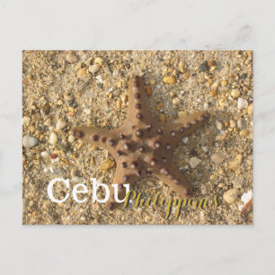 Cartão Postal Cebu Filipinas - Peixe-lenha castanho