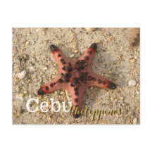 Cebu Filipinas Tiger Starfish
