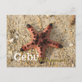 Cartão Postal Cebu Filipinas Tiger Starfish