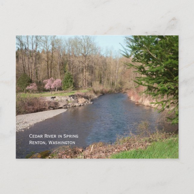 Cartão postal Cedar River Beach (Frente)