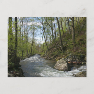 Cartão Postal Cedar Run no White Oak Canyon