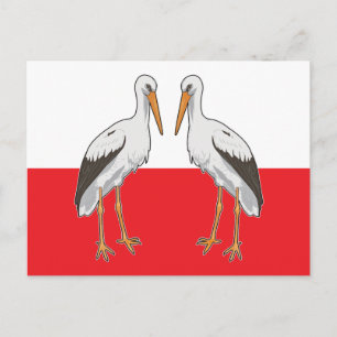 Cartão Postal Cegonha-branca Polonesa