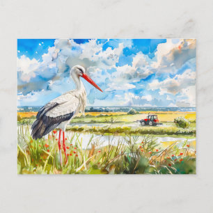 Cartão Postal Cegonha em Campos de Verão Havelland Estilo Aquare