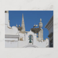 cegonhas constroem ninhos na igreja da velha cidad