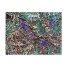 CELEBRAÇÃO DE CORES DA CALIFÓRNIA: CARTÃO-POSTAL D