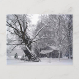 Cartão Postal Celeiro Antigo & Carvalho em Foto de Neve de Inver