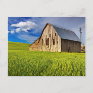 Cartão Postal Celeiro Antigo Cercado por Campo de Trigo de Prima