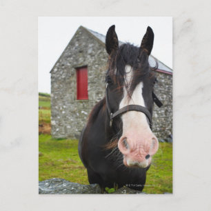 Cartão Postal Celeiro de cavalo e pedra no interior da Inglaterr