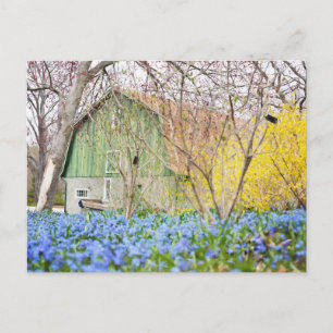 Cartão Postal Celeiro de outono com campo de flores azuis