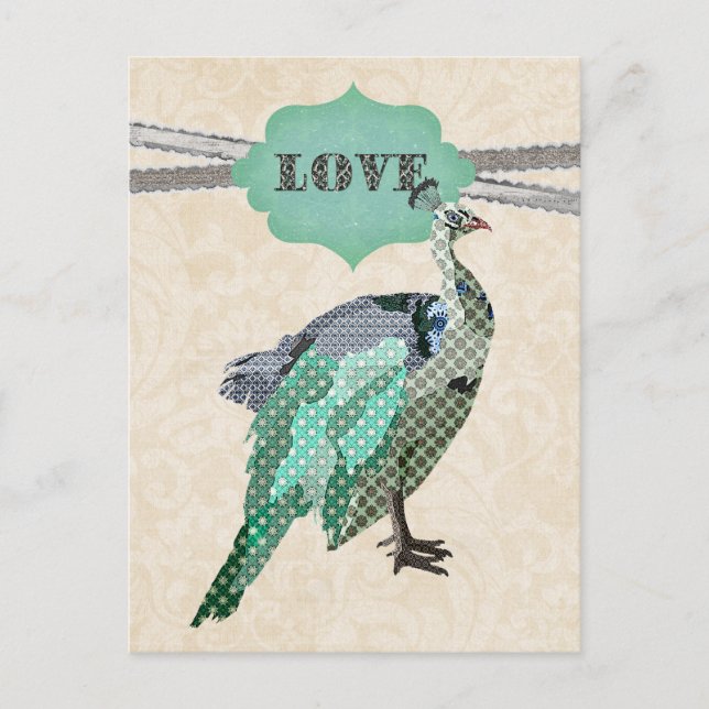 Cartão Postal Celeste Peacock    LovePostcard (Frente)