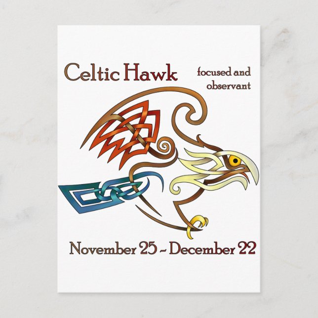 Cartão Postal Celtic Hawk (Frente)