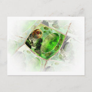Cartão Postal célula vegetal2