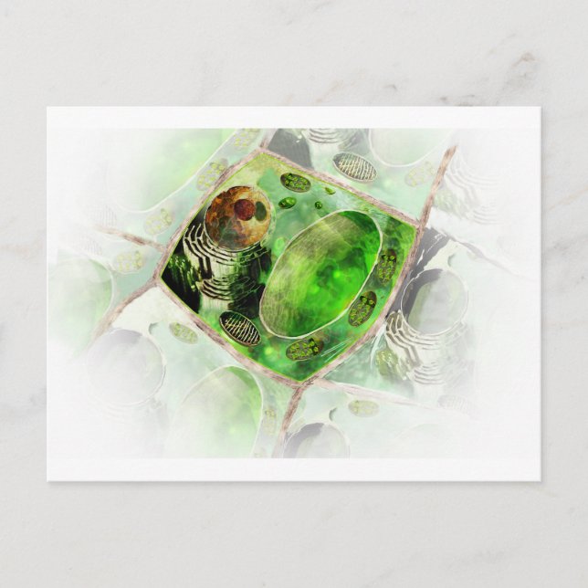 Cartão Postal célula vegetal2 (Frente)