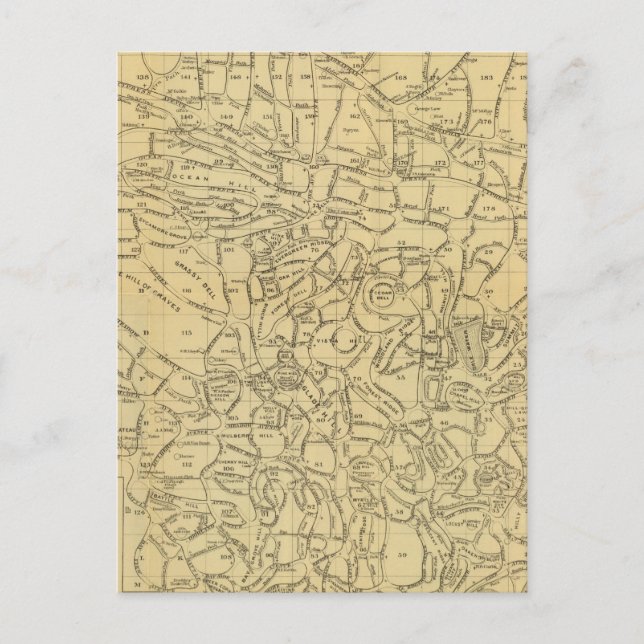 Cartão Postal Cemitério de madeira verde (Frente)