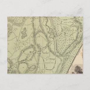 Cartão Postal Cemitério de Woodlawn