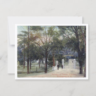 Cartão Postal Cemitério Wilmington NC Oakdale, 1910