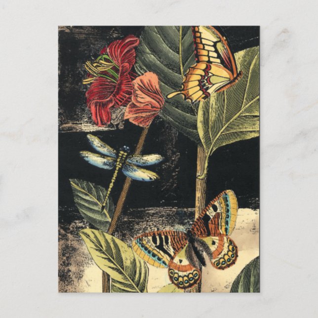 Cartão Postal Cena da Natureza Escura pelo Vision Studio (Frente)