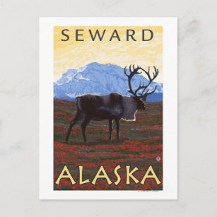 Cartão Postal Cena das Caraíbas - Seward, Alasca