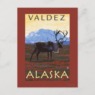 Cartão Postal Cena das Caraíbas - Valdez, Alasca