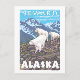 Cartão Postal Cena de Caprinos de Montanha - Seward, Alasca