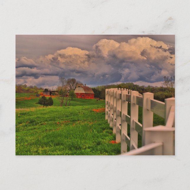 Cartão Postal cena de cerca branca (Frente)