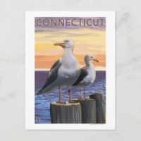 Cena de Congelações do Mar de Connecticut