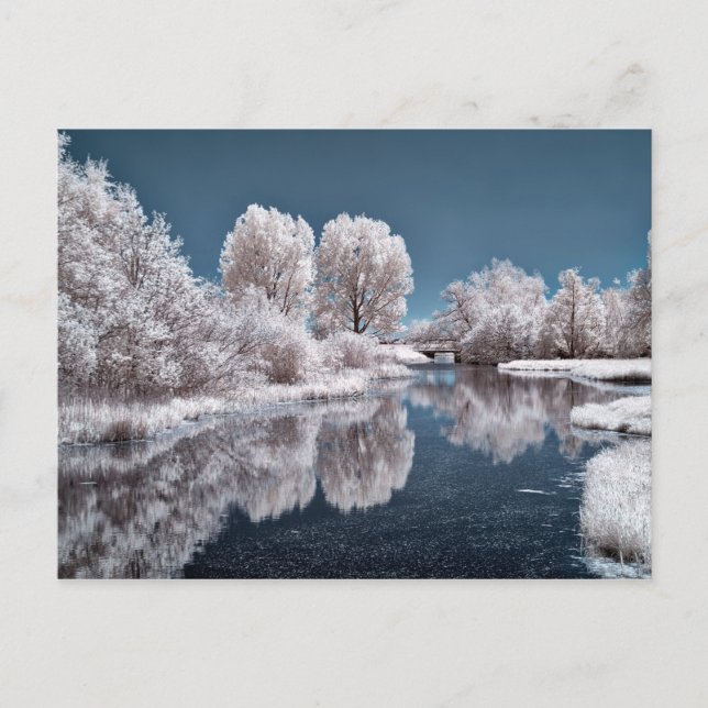 Cartão Postal Cena de inverno (Frente)