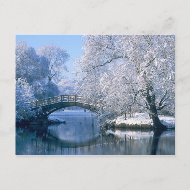 Cartão Postal Cena de inverno (Frente)
