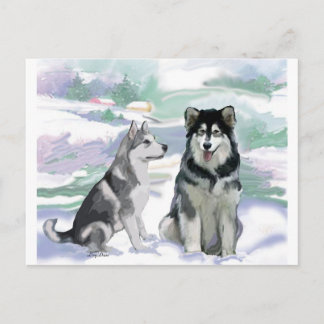 Cartão Postal Cena de inverno de Malamute no Alasca