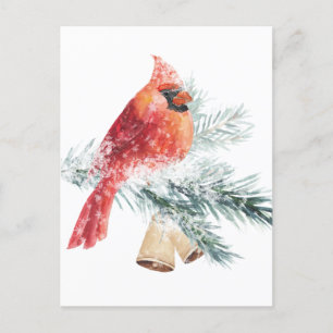Cartão Postal Cena de inverno do Red Cardinal Snowy Blue Spruce