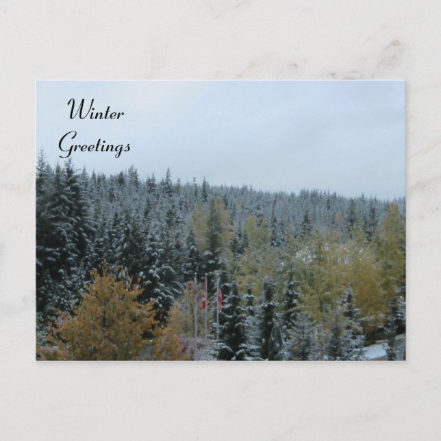 Cartão Postal Cena de inverno no Whistler, B.C. (Frente)