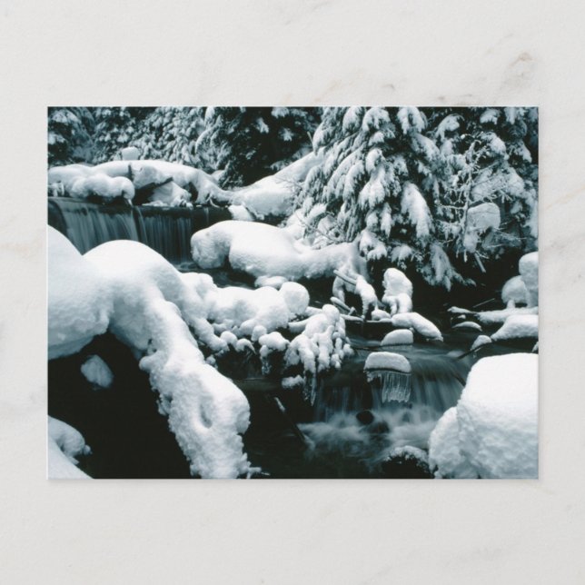 Cartão Postal Cena de inverno surpreendente (Frente)